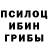 Галлюциногенные грибы Psilocybine cubensis Lost billions