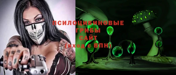 прущий лед Абаза