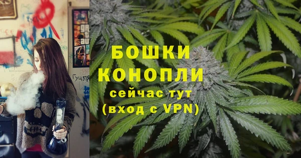 прущий лед Абаза