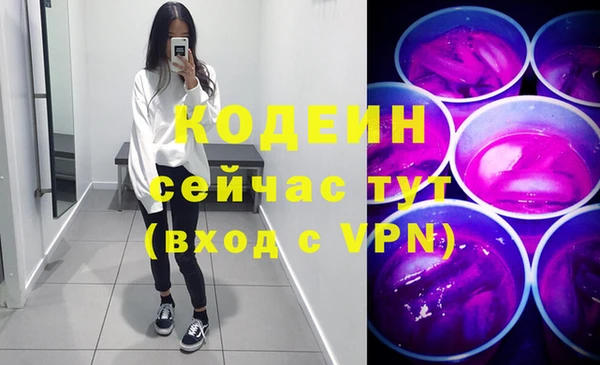 соль ск Сосновоборск