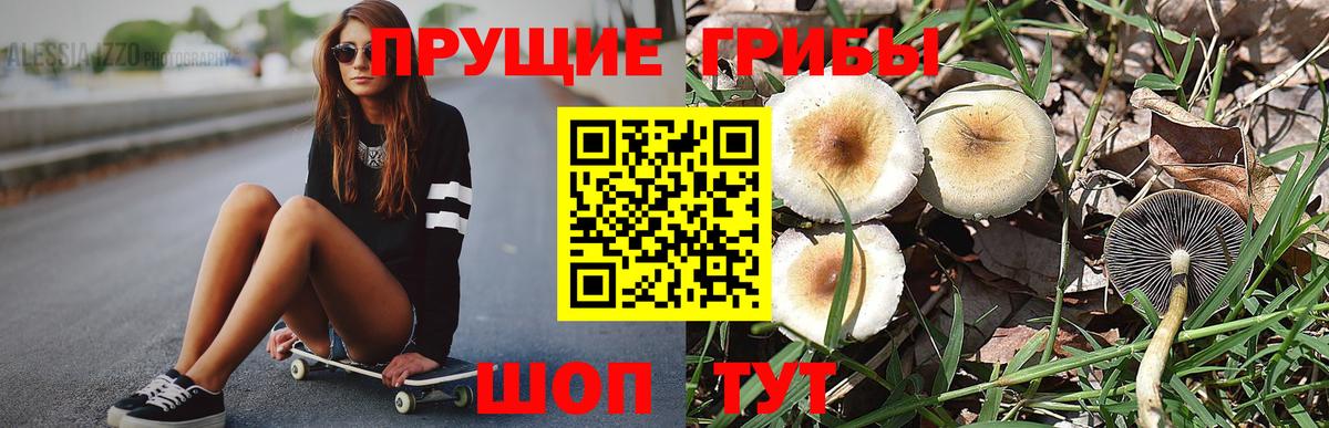 Галлюциногенные грибы Magic Shrooms Ефремов