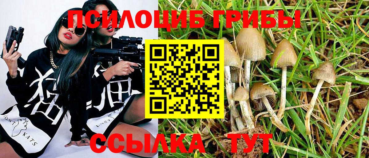 Псилоцибиновые грибы Psilocybe  Галлюциногенные грибы GOLDEN TEACHER  Вход с VPN  Ефремов 