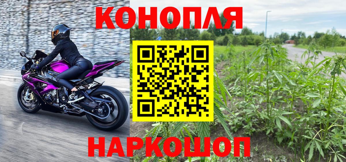Каннабис планчик  Вход с VPN  Марихуана сатива  Ефремов  Бошки марихуана сатива 